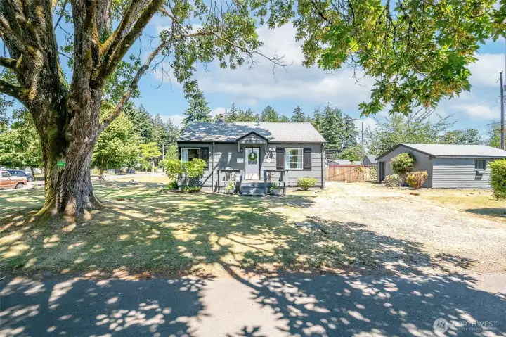 Idyllic oak tree frames the front  yard beautifully