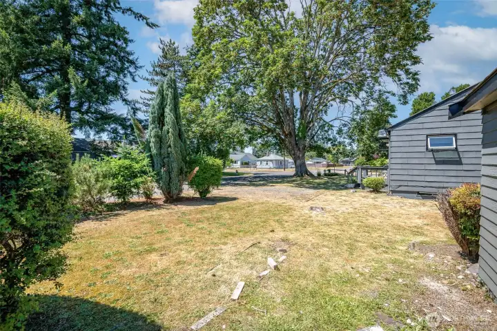Bring a boat, trailer, RV, host guest parking, plant a garden...