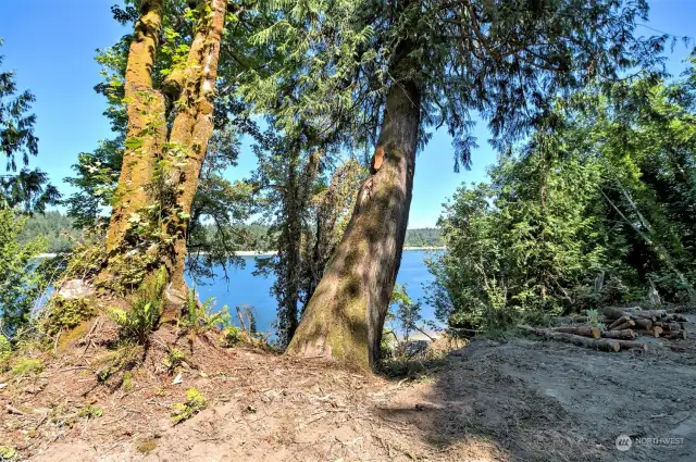 Partial view of the water and Squaxin Island