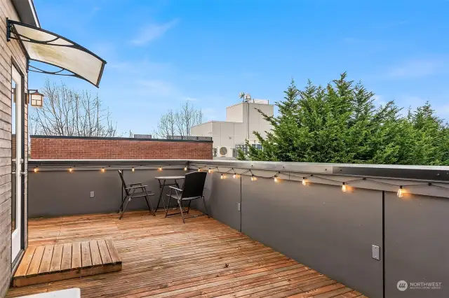 Amazing outdoor rooftop deck with views of the city, Space Needle and mountains