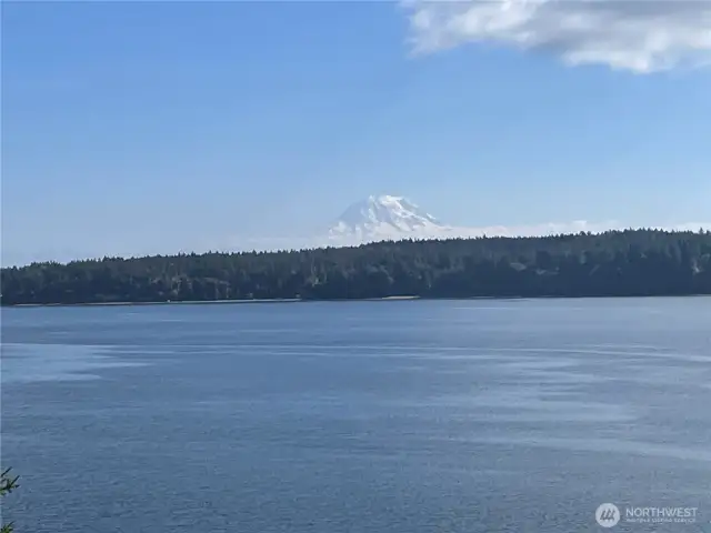 Mt. Rainier from the front yard