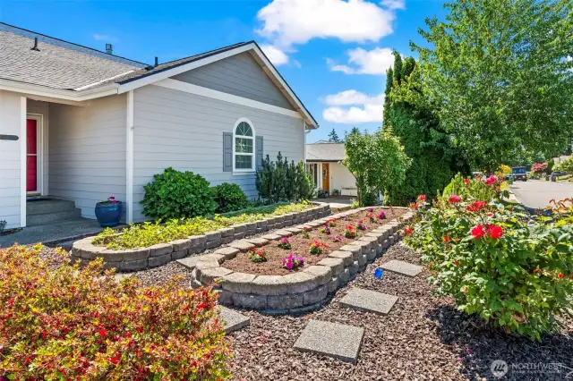 Raised garden beds in front yard