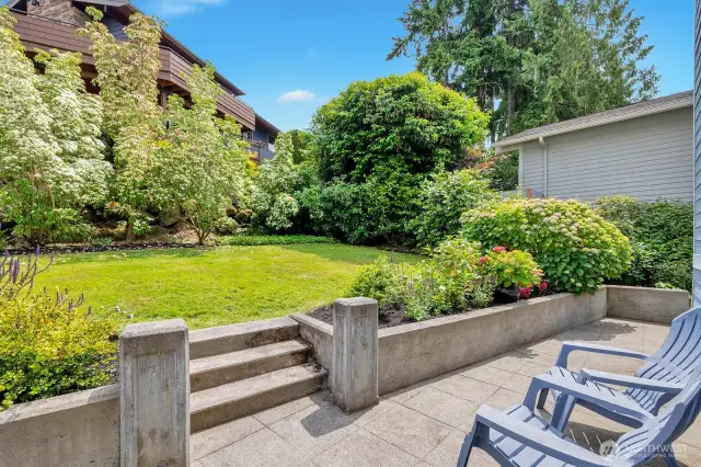 Backyard patio view