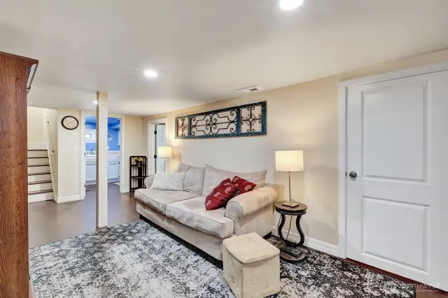 Basement Family Room