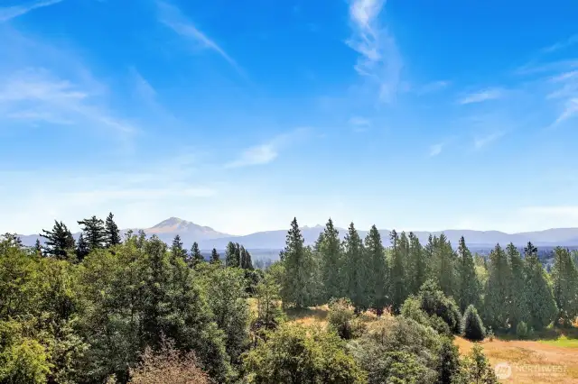 Mt Baker view