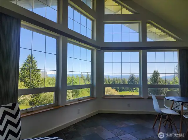 Mt view from living room