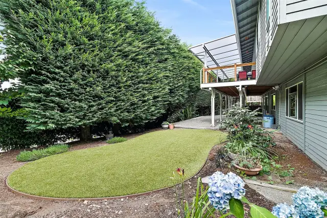 Private Backyard