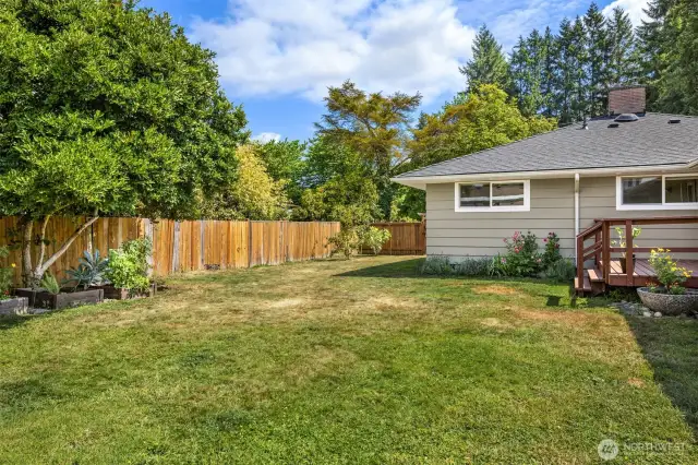 Space to play, garden- Fully fenced