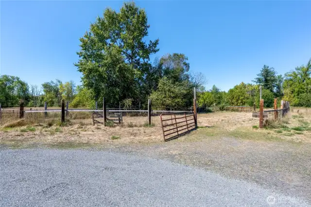 Paddock for Livestock