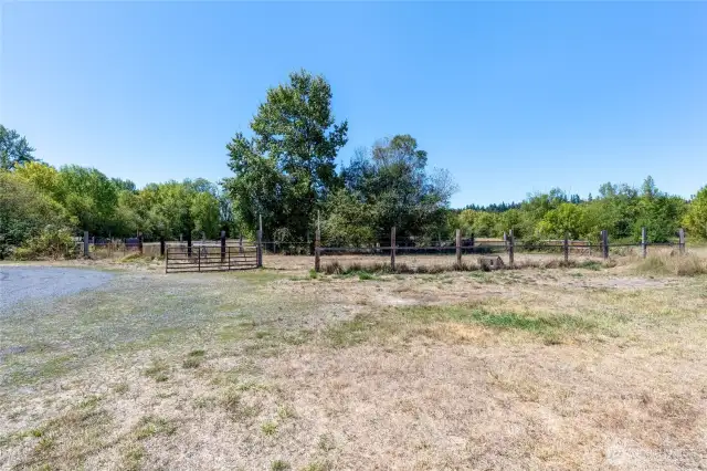Livestock Paddock