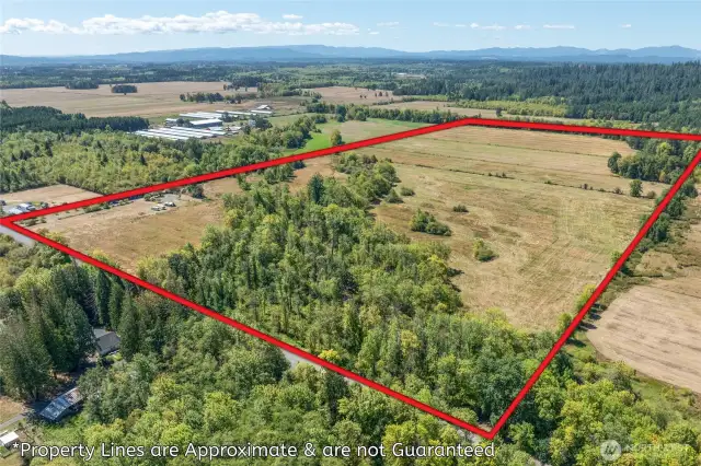 Property with boundary lines