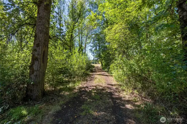 Northerly Road Spanning Length of Property