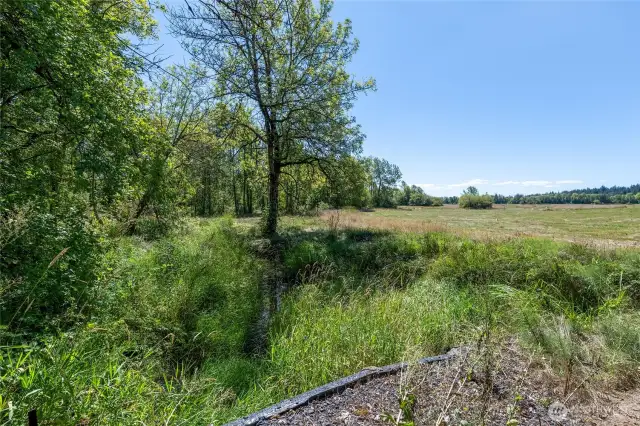 Creek on Property
