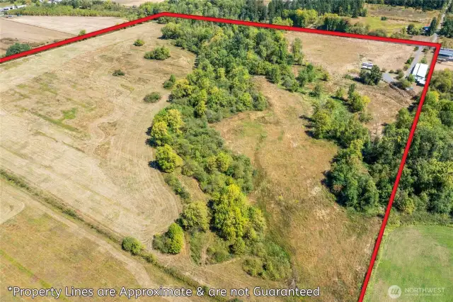 Year round Creek spans treed area shown below.