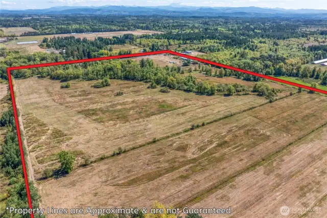 Looking to front of property from rear.