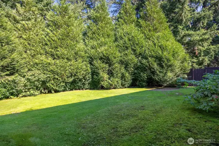 Back patio opening to greenspace