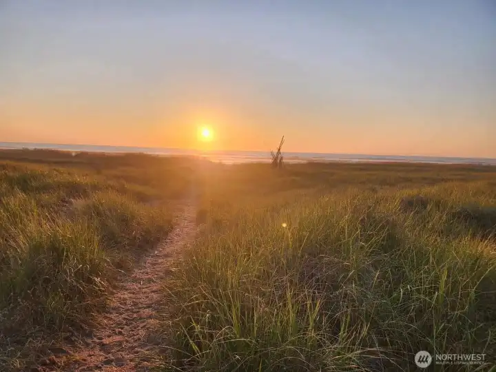 Explore miles of sandy beaches