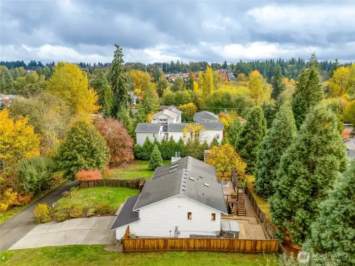 Scenic treetop outlook revealing the home’s setting among lush evergreens and nearby neighborhood amenities. The combination of privacy and community feel stands out.