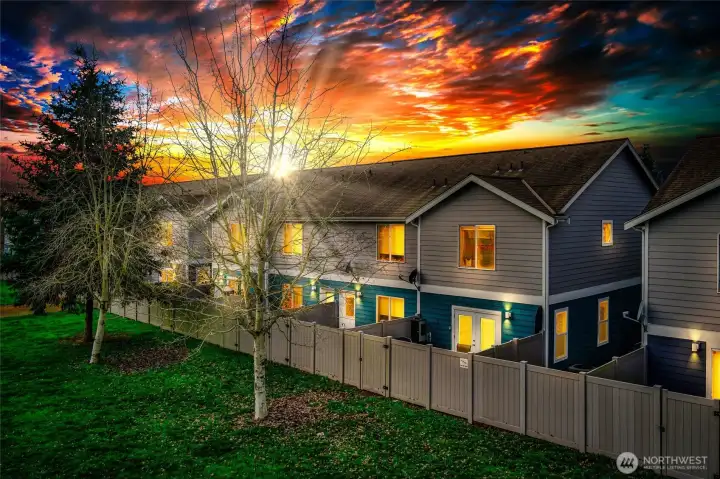 Looking on from the backyard