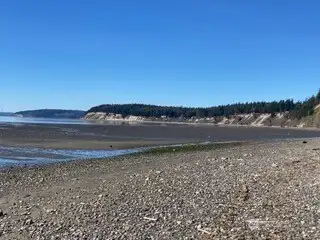 Observe diverse wildlife and sea life throughout the year