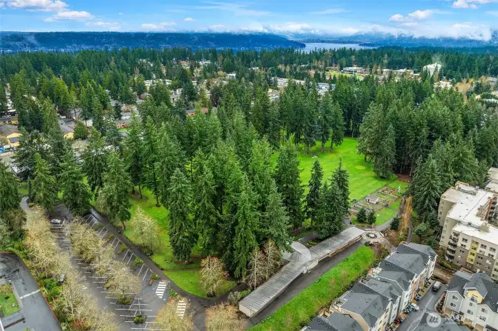 Crossroads 3-Par Golf Course