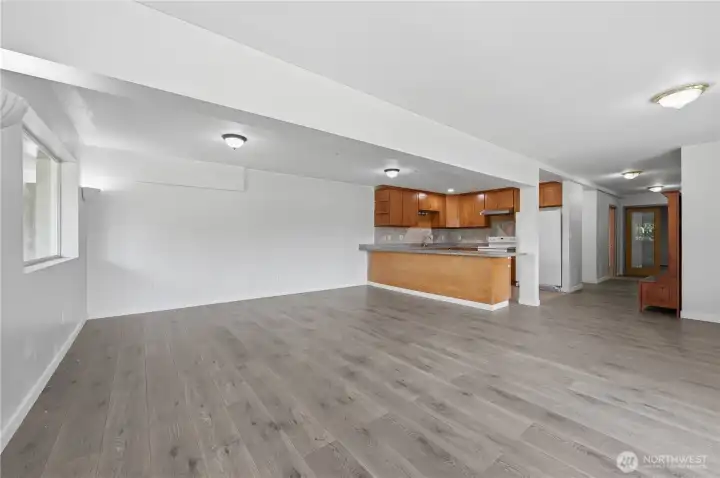 Lower level living room & kitchen