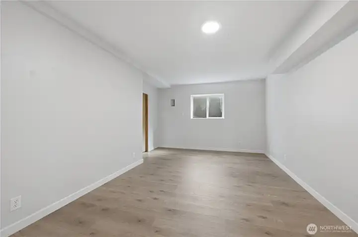 Lower level 4th bedroom