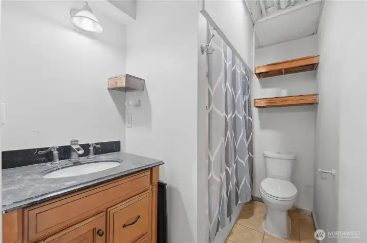 Lower level full bath