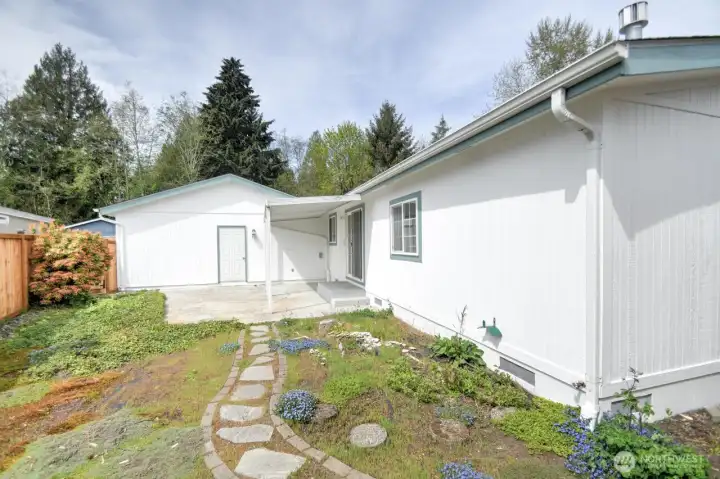 Backyard - view from fenceline