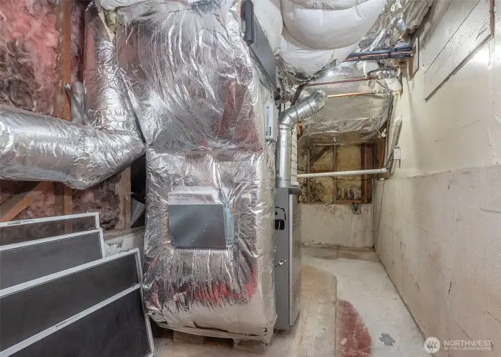 New gas furnace and home of the hot water tank.