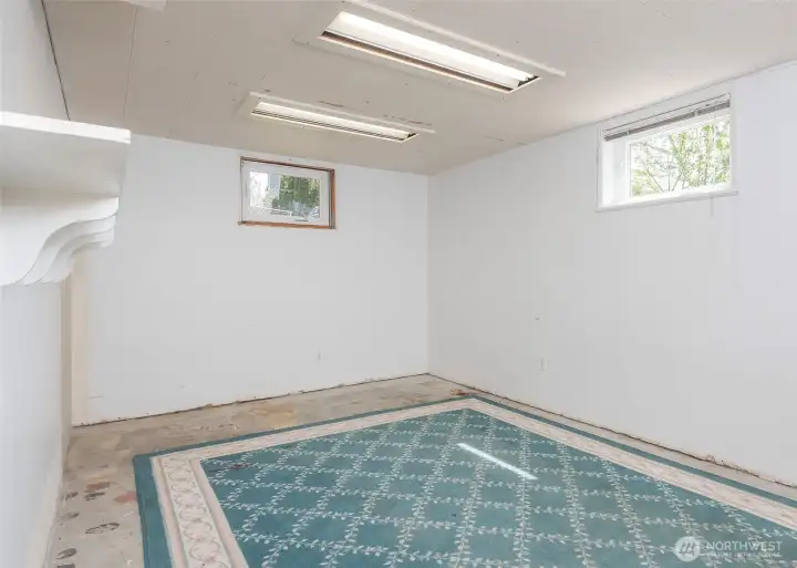 Lower level bedroom/bonus room.