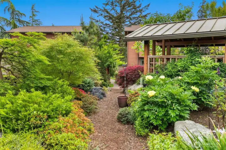 Imagine reading within the privacy of the gazebo on a warm, but drizzly summer day & listening to the music of the rain chain.