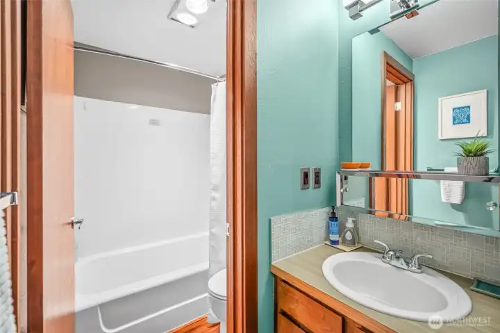 Lower level full bathroom.