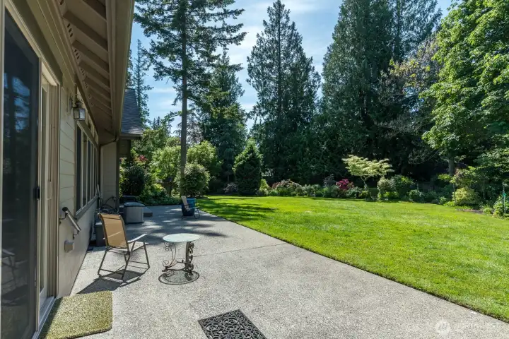 More back patio.