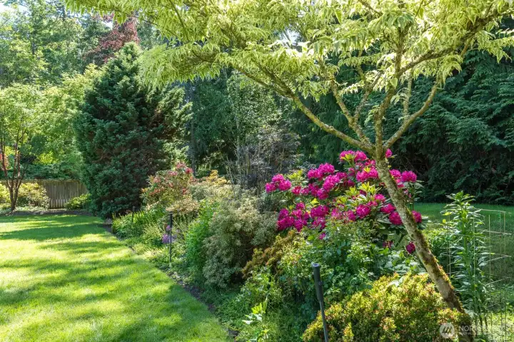Mature landscaping with several varieties of plants. Color all year long.