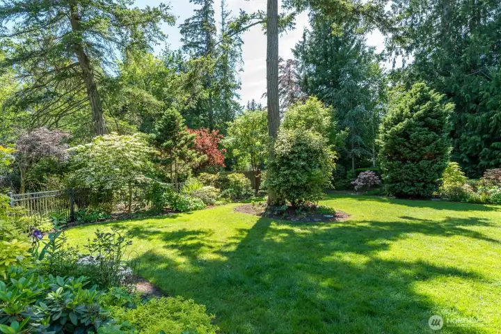 It really is a beautiful yard.