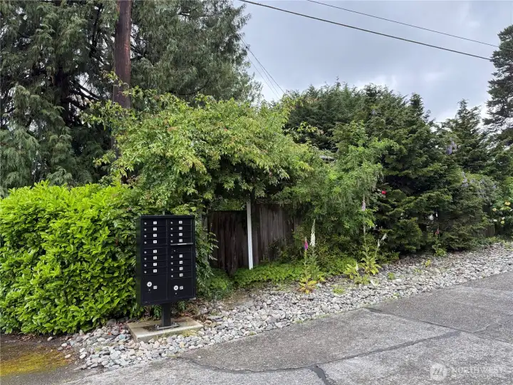 mail box locates  accross condo surrounded by greenery