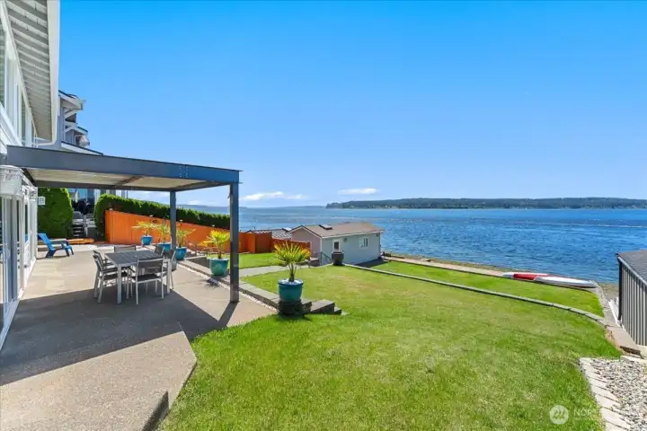 Back yard with iron pergola