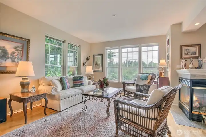 Living room with view windows and fireplace