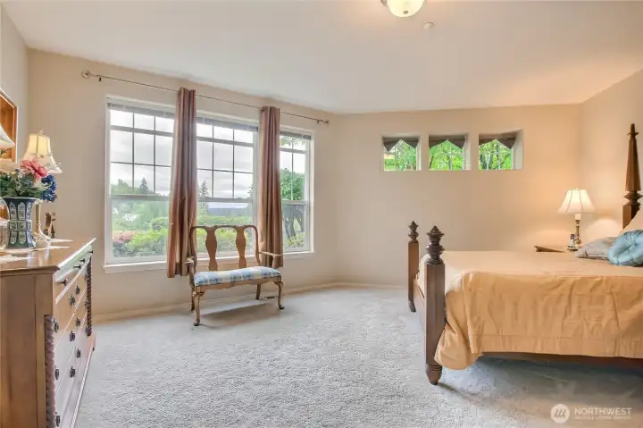 Spacious second bedroom with walk in closet and view windows
