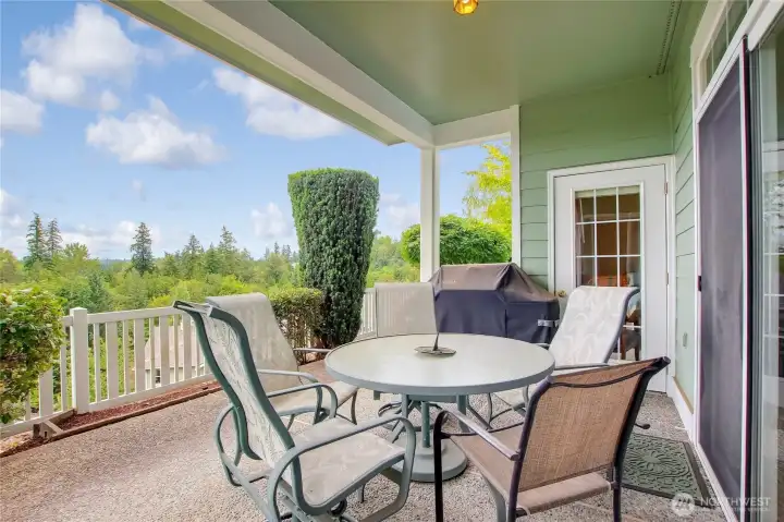 expansive views from the back patio