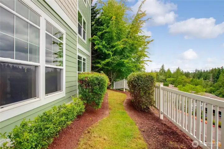 Back yard area
