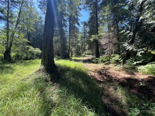 South side of the subject property near the water pump house