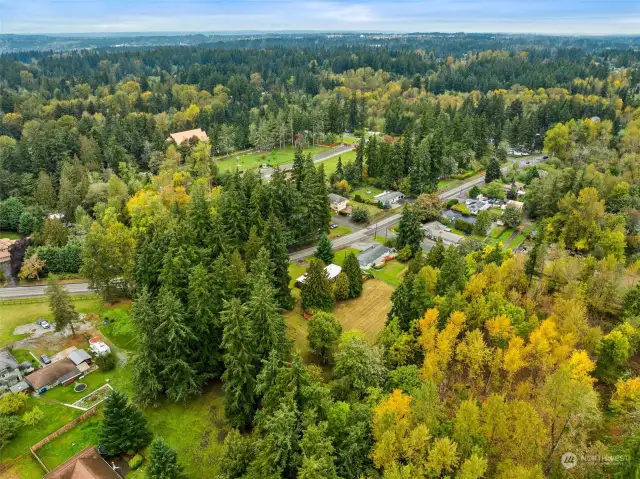 What a great area!! Five Mile Lake Park is off Military, to the Left. Five Mile Lake offers a Beautiful Lake with a Beach, Swimming and a Fishing Dock. The Park also includes Trails, Playground, Baseball Field, Volleyball Court and Tennis Courts, along with Parking, Restrooms and Shaded Picnic Areas. Dogs welcome on leash!