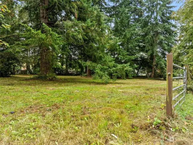 Entry View. Flat Entrance w/Evergreen, Cedar and other large Deciduous trees.