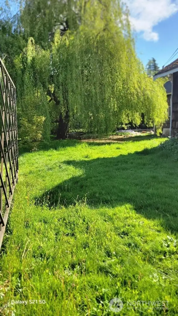 Front side yard.