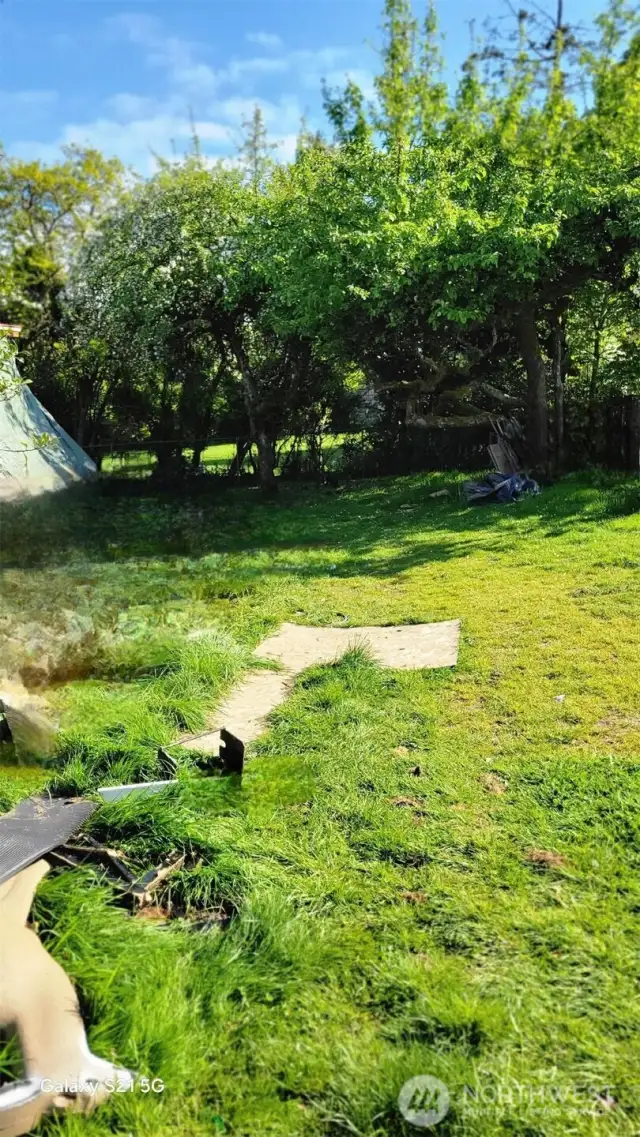 Large backyard. Endless possibilities. Bring your yard games for weekend fun times.