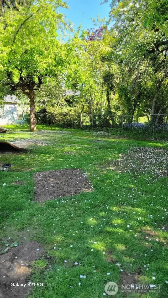 Extra large backyard for all of your enjoyment.