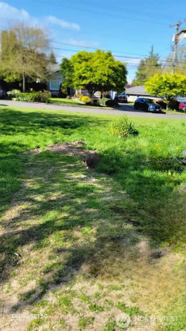 Side yard of home.