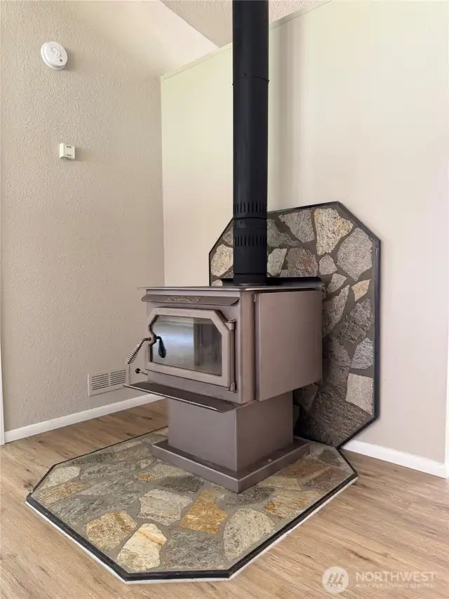 Wood stove